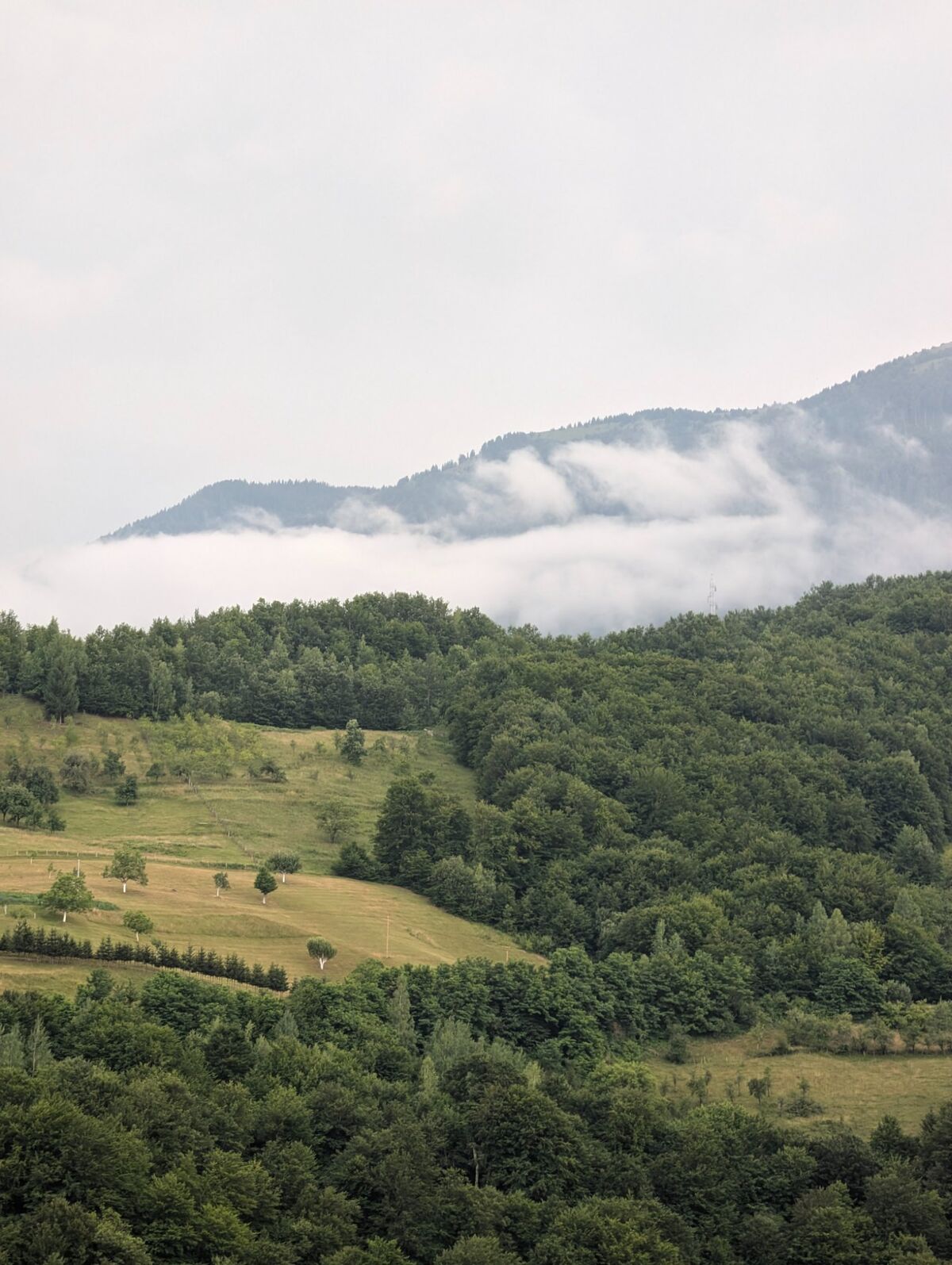 Cabin interior with fireplace
