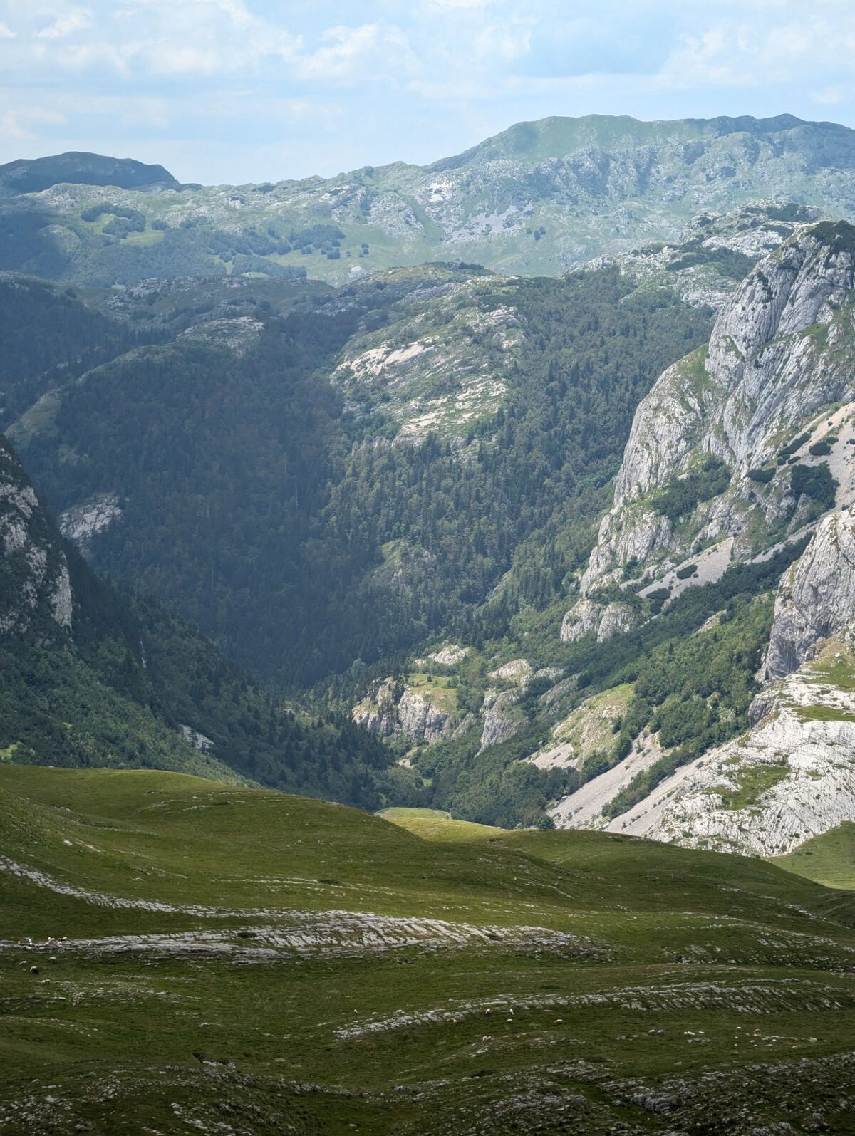 Mountain sunrise summit